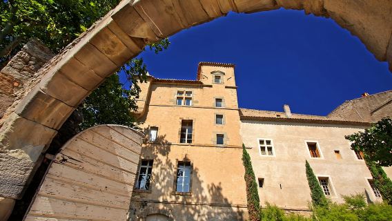 Château de Luc: visita unica e degustazione di vini