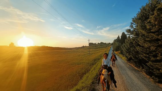 Siena: Paseo a caballo por la campiña toscana