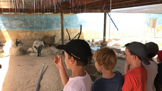 Plettenberg Bay: EcoKidz Family Wildlife Tour