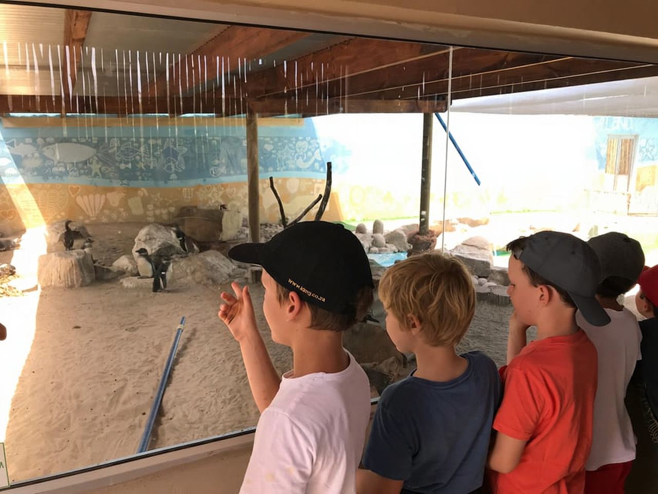 Plettenberg Bay: EcoKidz Family Wildlife Tour