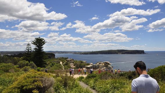 Sydney: City Highlights Guided Bus Tour