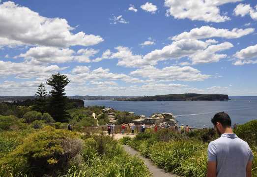 Sydney: City Highlights Guided Bus Tour AUD 46.6