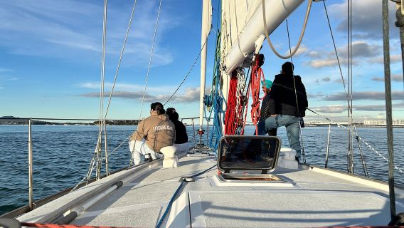 1,5-stündige Segelkreuzfahrt im Hafen von Auckland
