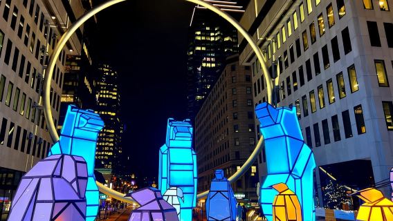 Montreal: tour privato a piedi delle luci di Natale