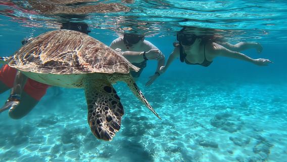 Gili Air/Trawangan: Tur Perahu Beralas Kaca dengan Snorkeling