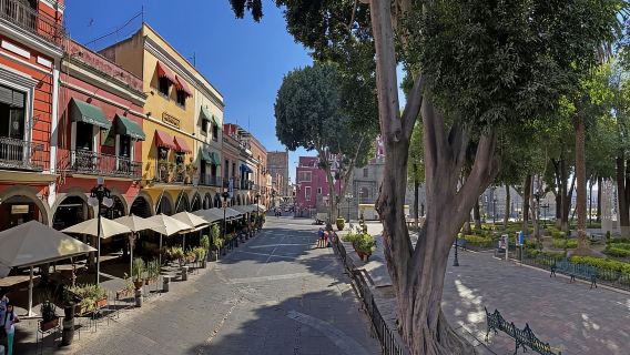 Puebla: City Tour en autobús turístico y Acuario Michín