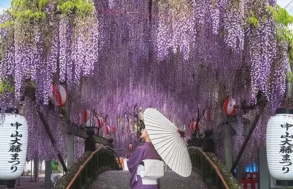 日本北九州門司港+唐戶市場+宮地嶽神社/河內藤園一日遊