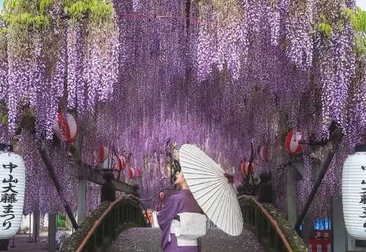 Japan Kitakyushu Moji Port + Karato Market one-day tour[Daily Tour|Chinese and English drivers