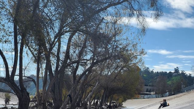 LA River Eco Tour and Secret Stair Hike