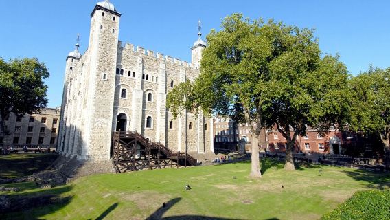 St. Paul's Cathedral + Buckingham Palace + Tower of London + Themse-Flusskreuzfahrt + London Eye-Tagestour