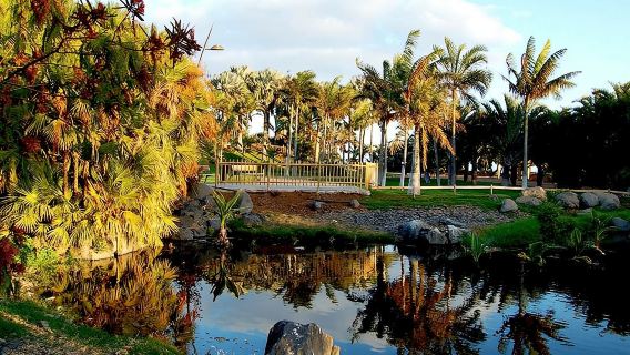 Santa Cruz de TenerifeTours