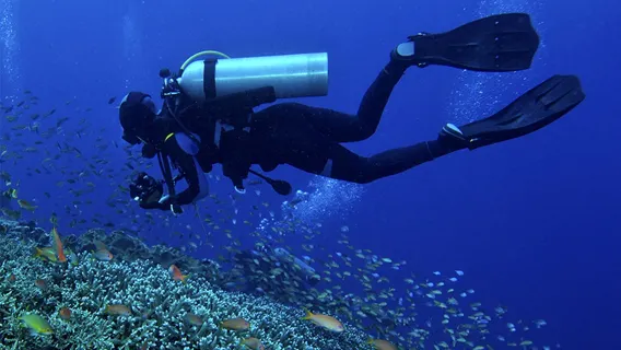 Featured tour with 4 reviews: Pattaya, Thailand: Introductory Diving (Scuba Diving/Snorkeling/OW/AOW Certification – 1 Day) [Pattaya Introductory Diving/Hotel Pickup/Professional Instructors/Certification Available]