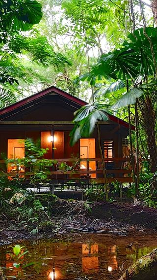 Cairns, Australia - Tandoori Rainforest + Cape of Triumph Rainforest Day Trip (English included, lunch included, crocodile boat tour)