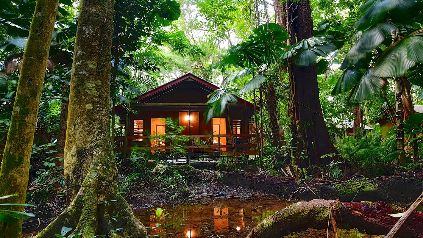 Tagesausflug zum Daintree-Regenwald und Cape Tribulation in Cairns, Australien, inklusive Mittagessen und Bootsfahrt mit Krokodilen