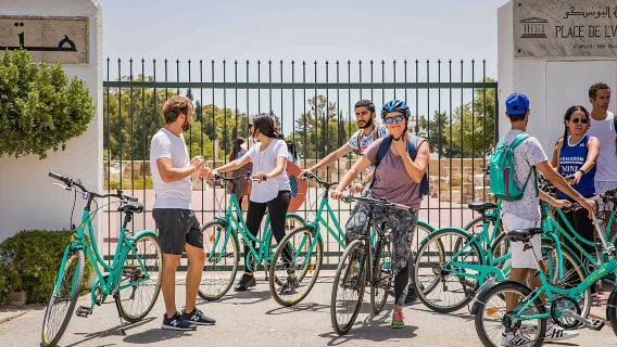 Guided Bike Tour of Carthage Archeological Site in Tunisia
