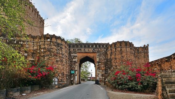 Индивидуальная однодневная поездка в Читторгарх из Удайпура с гидом (опция)