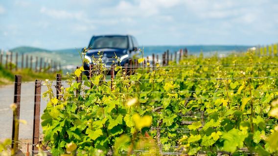 one-day tour to Epernay and Auvillers|Includes wine tasting at 2 wineries + lunch