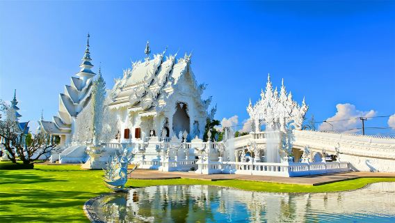 CHIANG RAI Iconic White, Blue Temple, Black House Museum with Long Neck Tribe Day Tour