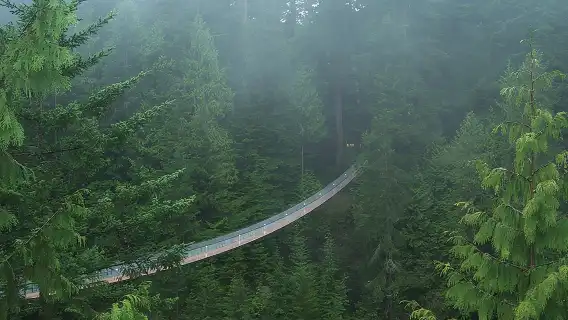 Vancouver Tour: Stanley Park, Granville Island & Capilano Bridge