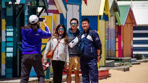 Penguin Parade, & Wildlife Encounters Eco Tour from Melbourne