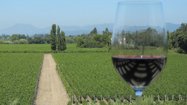 Visite des vignobles de Sonoma avec 2 dégustations incluses - Petit groupe - Demi-journée