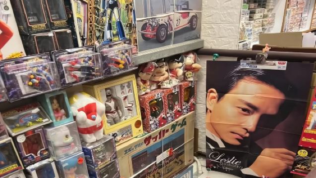 15人團丨尋味香港漫遊九龍市井風情半日遊丨深水埗+廟街+小食