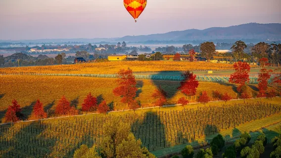 Tour khinh khí cầu 60 phút tại Thung lũng Yarra, thành phố Victoria, Melbourne (bao gồm đón trả tại Melbourne và ảnh chụp)