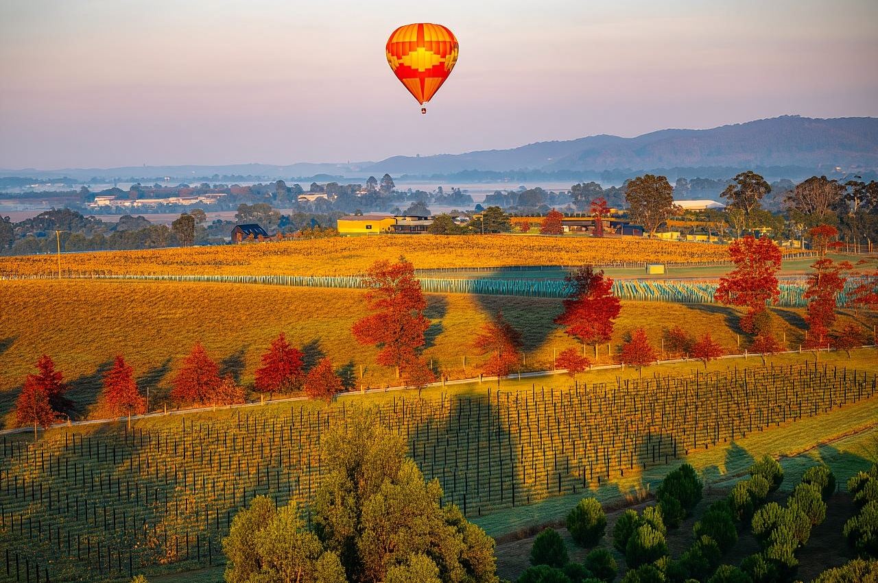 60-minute hot air balloon ride over Melbourne's Yarra Valley (includes Melbourne transfers and photos)