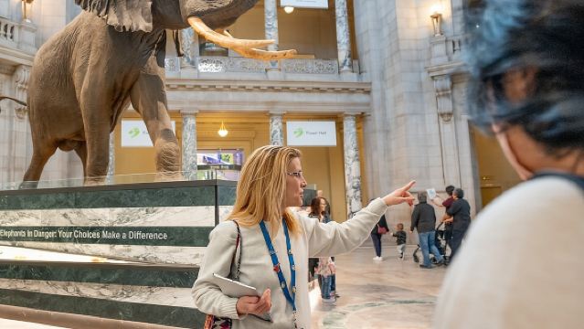 Smithsonian "Big 3" Highlights Tour (Air & Space Entry Included)