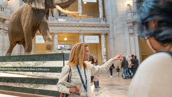 象の置き物 ケニア アフリカングッズ スミソニアン博物館 スミソニアン自然史博物館＋アメリカ歴史博物館 8ページ | Trip.com