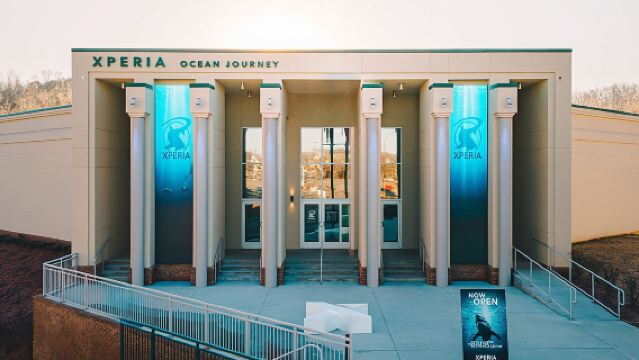 Digital Ocean Adventure in Sevierville