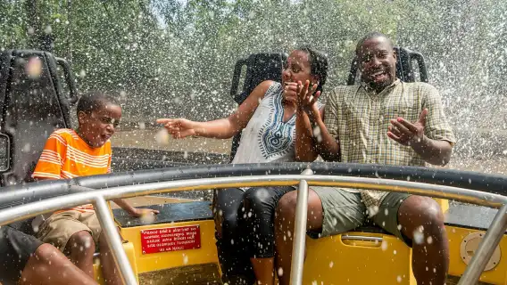 Tampa: Busch Gardens Tampa Bay Ticket & Multi-Park Options