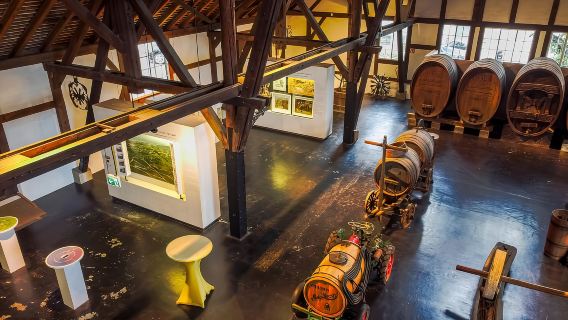 Stuttgart: Weinprobe im Stuttgarter Weinmuseum