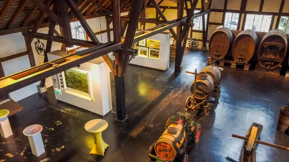 Stuttgart: Weinprobe im Stuttgarter Weinmuseum