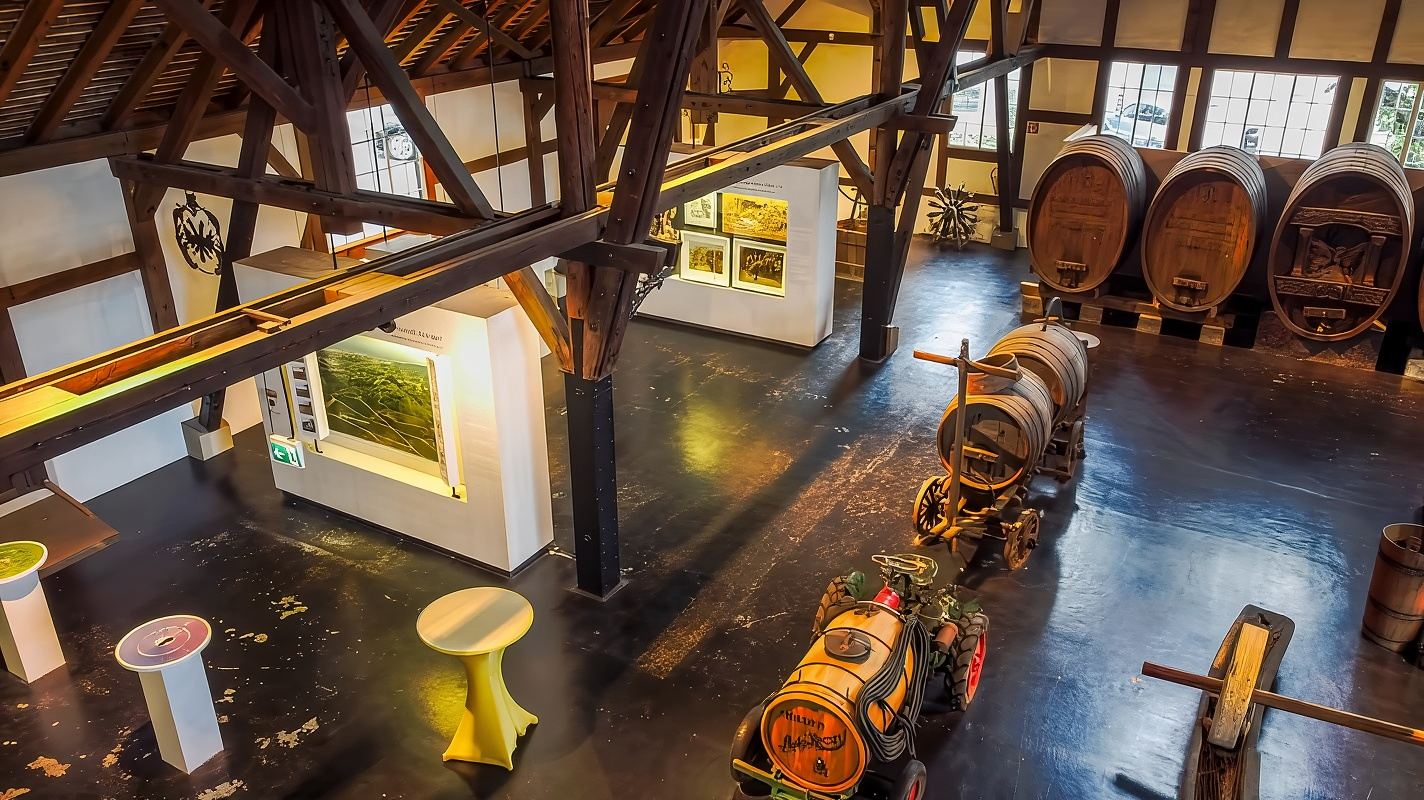 Stuttgart: Weinprobe im Stuttgarter Weinmuseum