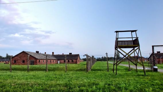 From Krakow: Last Minute Auschwitz-Birkenau Guided Tour