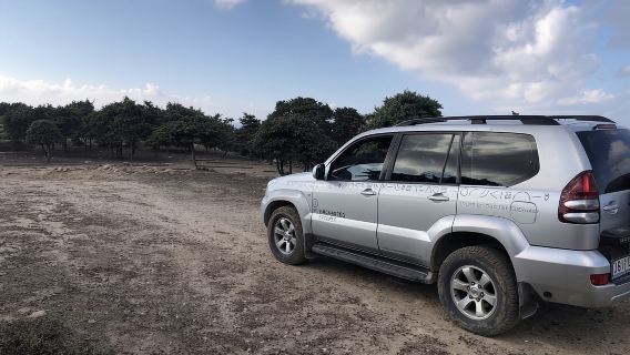 คอส: ทัวร์ออฟโรด 4x4 พร้อมไกด์นำเที่ยวไปยังเกาะเคฟาโลส และรับประทานอาหารกลางวันที่โรงเตี๊ยม