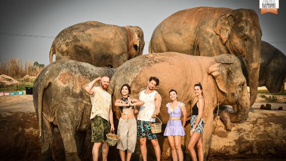 Pattaya: Trải nghiệm cho voi ăn tại Khu bảo tồn Voi Jungle