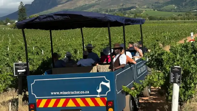 เคปทาวน์: ทัวร์ชิมไวน์ด้วยรถแทรกเตอร์ Hop-On Hop-Off ที่เมืองสเตลเลนบอช
