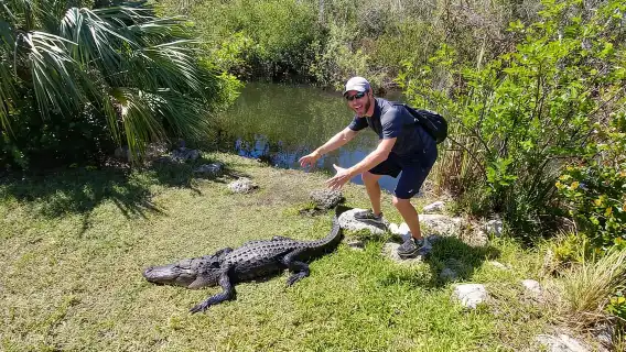 Miami: Everglades Airboat Ride and Tram Tour
