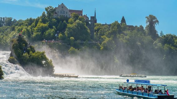 From Zurich: Rhine Falls Morning Trip with Entry Tickets