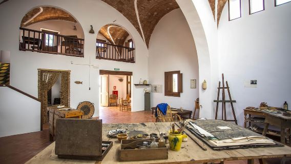 Entry ticket | Fundació Mas Miró - Mont-roig del Camp