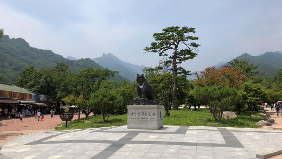 Seoul: Mt.Seorak(+CableCar Option)+Sokcho Fish Market&Beach