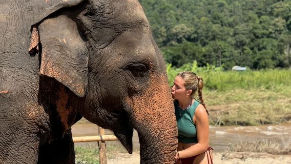 Chiang Mai: Santuario degli elefanti, sentiero dei monaci e tour del Doi Suthep