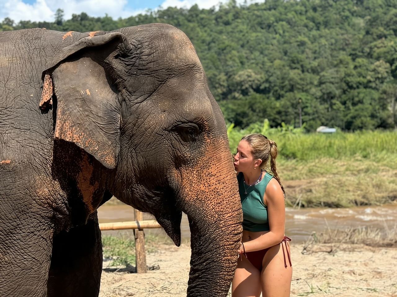 Chiang Mai: Elephant Sanctuary, Monk Trail & Doi Suthep Tour