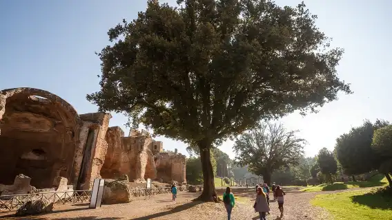 Tivoli: Entrance Ticket to Villa Adriana & App Audioguide
