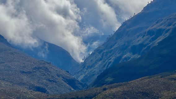 Suicide Gorge: Kloofing Adventure (Day Tour)