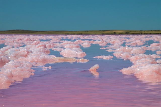 阿德萊德周邊奇趣線：酒香、回音、粉紅湖的一日奇幻冒險