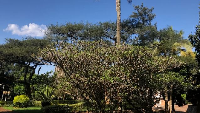 盧旺達基加利｜ 旅遊陪同翻譯｜ 展會｜ 商務考察洽談｜ 自由行地接｜接機 （可私人定制）