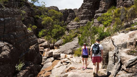 [GoWest Tours] Tour ecologico di un giorno al Parco Nazionale di Grampians da Melbourne